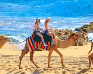Camel Baja Is You