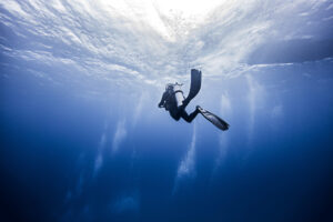 The Corridor — Coral Reefs & Mobula Rays
