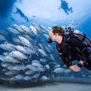 Cabo Pulmo — UNESCO Marine Sanctuary