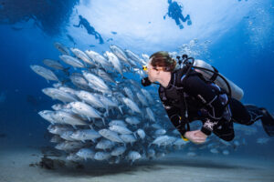 Cabo Pulmo — UNESCO Marine Sanctuary